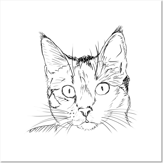 Funny cat design Wall Art by hldesign